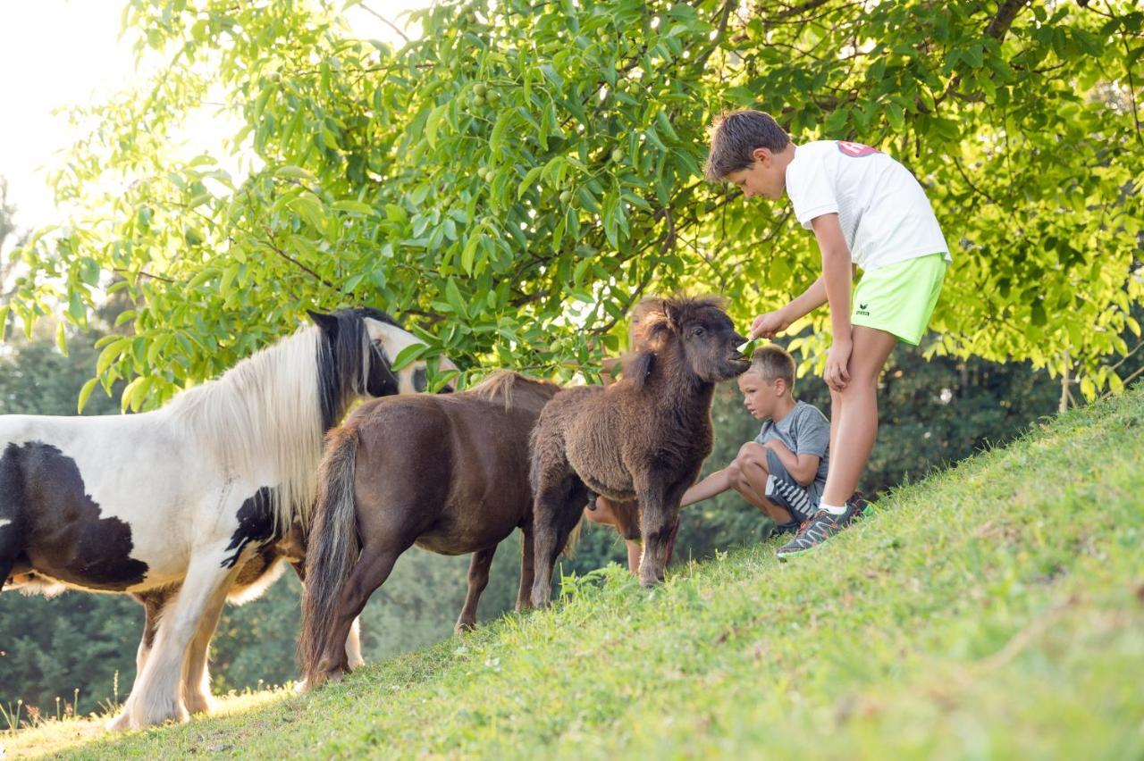 פפארוורפן Familienbauernhof Samerhof מראה חיצוני תמונה