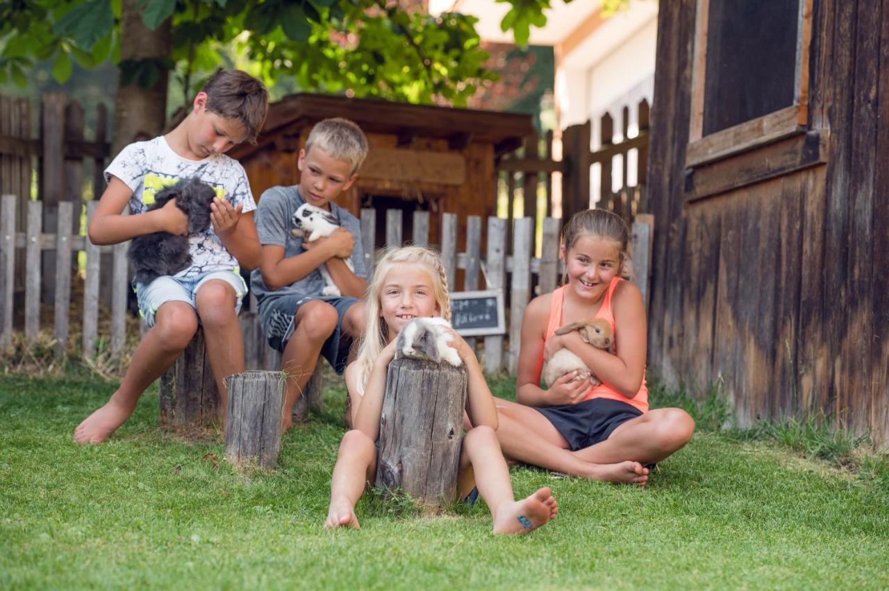 פפארוורפן Familienbauernhof Samerhof מראה חיצוני תמונה